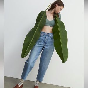 NEW Madewell USA-made Balloon Jeans in Whistler Wash, 24